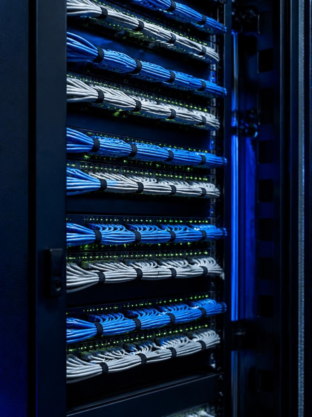 Patch panels with blue network cables in a server cabinet